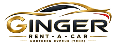 logo4